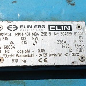 ELIN MKH-431 M04 Z9B-9 Elektromotor 132 kW