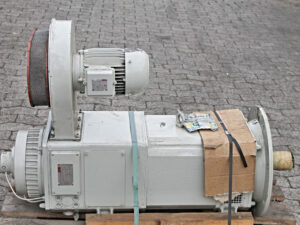Z:X11081.JPG